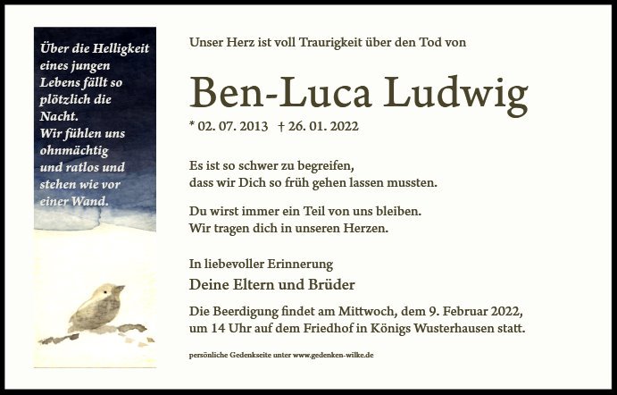 Erinnerungsbild für Ben-Luca Ludwig