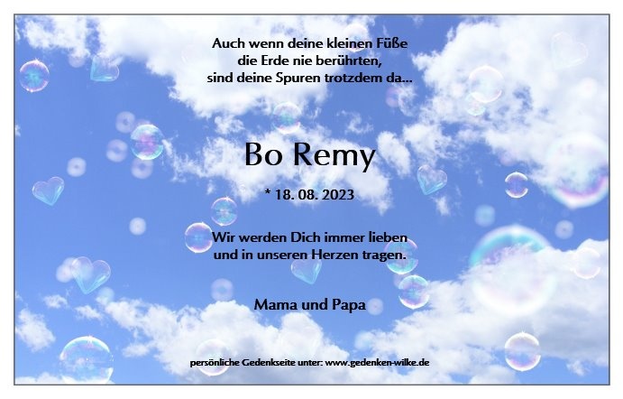 Erinnerungsbild für Bo Remy