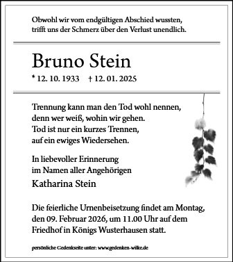 Profilbild von Herr Bruno Stein